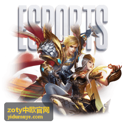 zoty中欧官网原产地证明文件示意