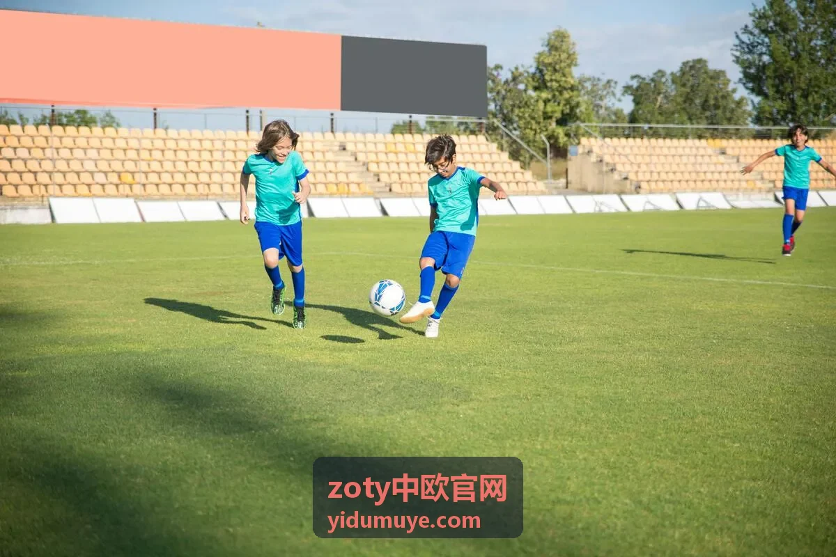 zoty中欧官网出口报关与装箱单据示意