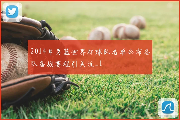 2014年男篮世界杯球队名单公布各队备战赛程引关注_1