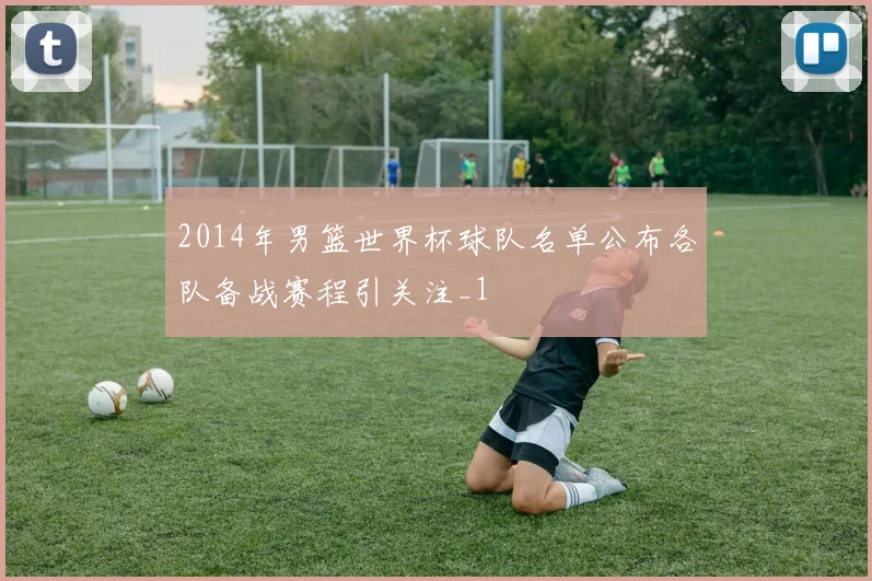 2014年男篮世界杯球队名单公布各队备战赛程引关注_1
